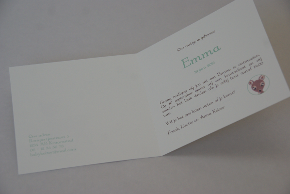 geboortekaartje emma lichtgroen